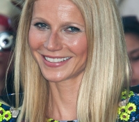 gwyneth paltrow 2013