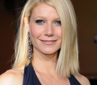 gwyneth paltrow 2014