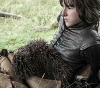 Bran Stark.jpg