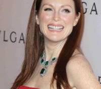 julianne moore 2013