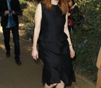 julianne moore 2015