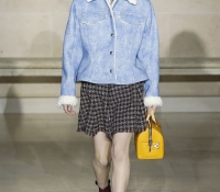 louis vuitton15