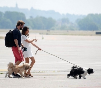 Irina Shayk and Bradley Cooper spotted in Italy