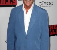 mel gibson 2013