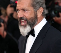 mel gibson 2014