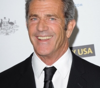 mel gibson 2014