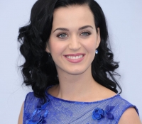 katy perry 2013