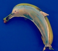 platano