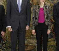 audiencia real en el palacio de la zarzuela enero 2015