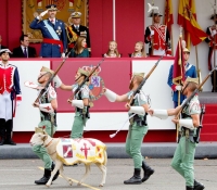 reyes de espana en el dia de las fuerzas armadas octubre 2014