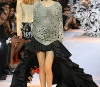 roberto cavalli