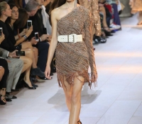 roberto cavalli