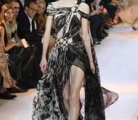 roberto cavalli