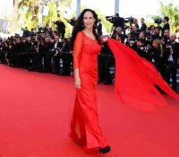 sonia braga