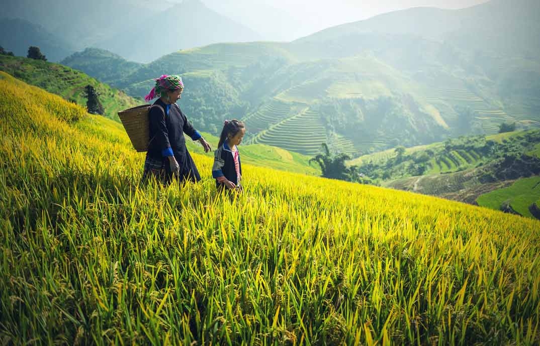 Mujer Hmong en Sapa