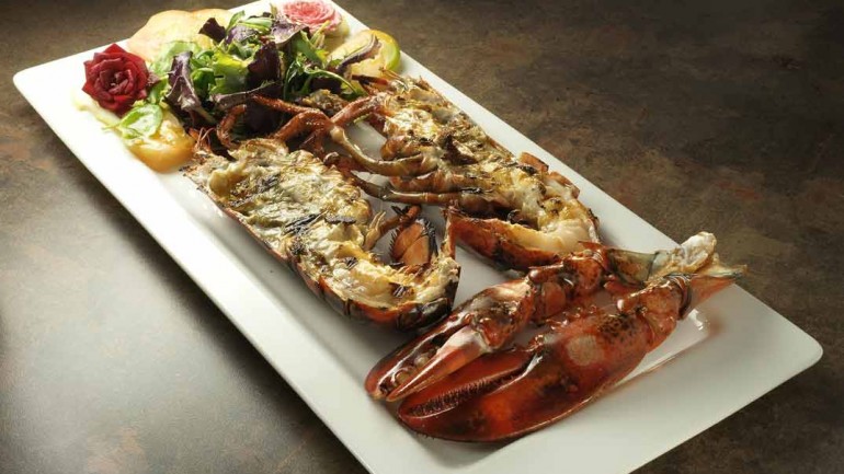 Salterius, ¿se puede disfrutar con los cinco sentidos?