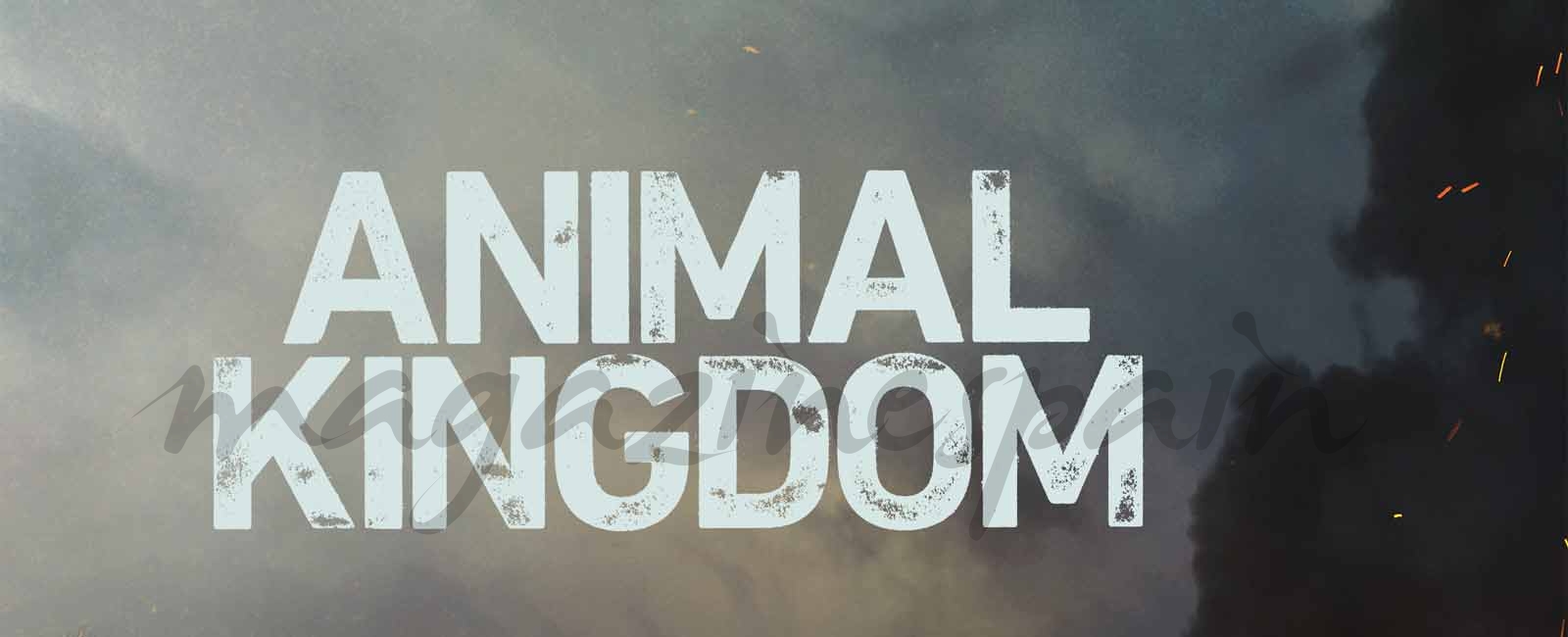 La familia puede convertirse en una jugosa trampa: ‘Animal Kingdom’, segunda temporada