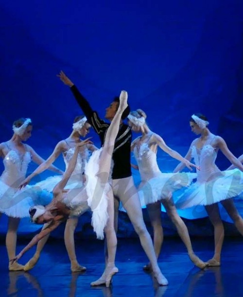 “El Lago de los Cisnes” llega hasta el Teatro Lope de Vega de Madrid