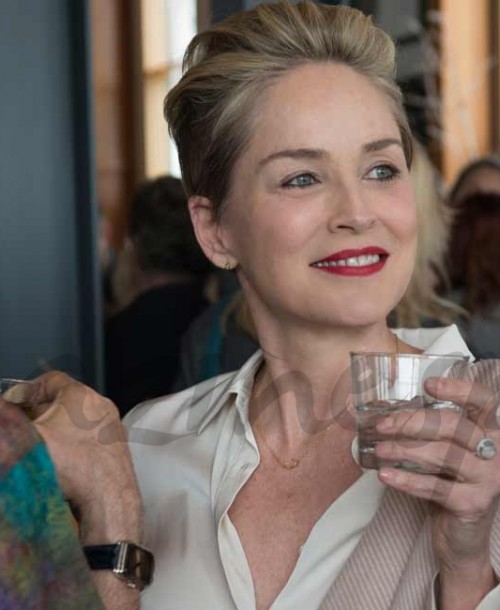 Estreno de «Mosaic», la nueva serie de Sharon Stone