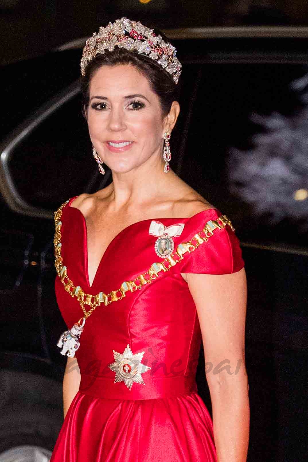 Princesa Mary de Dinamarca