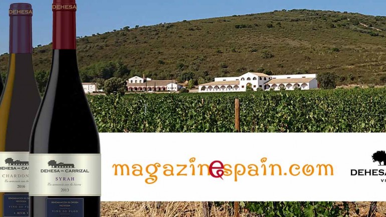 Sorteo Magazinespain: Siempre hay algo que celebrar