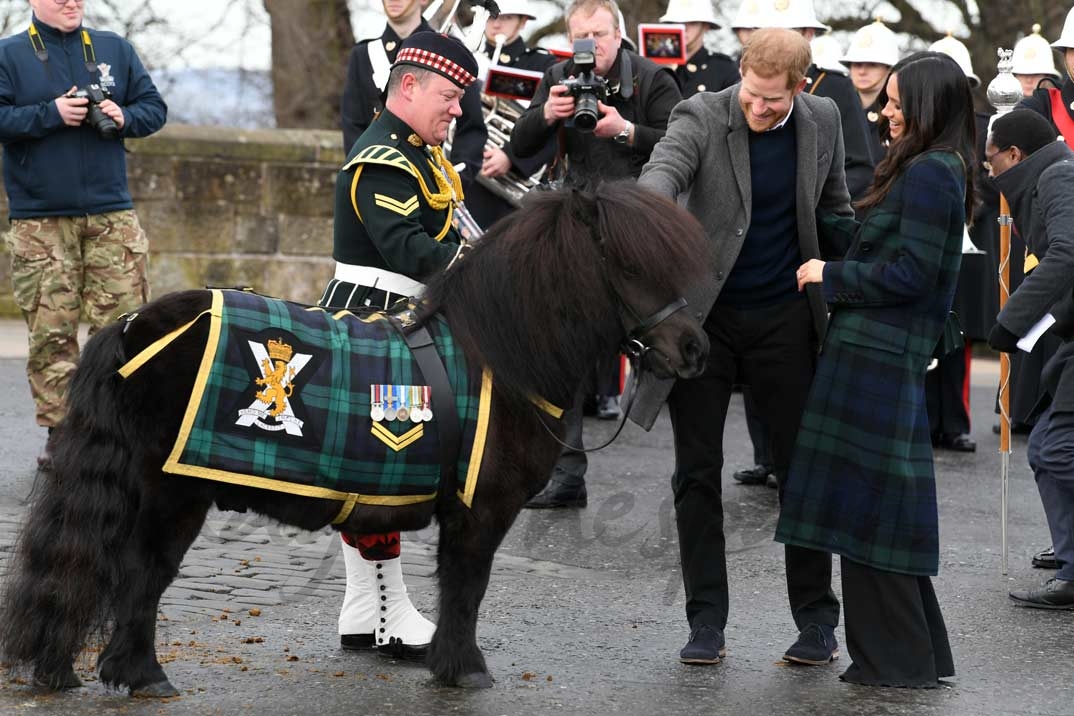 Príncipe Harry y Meghan Markle