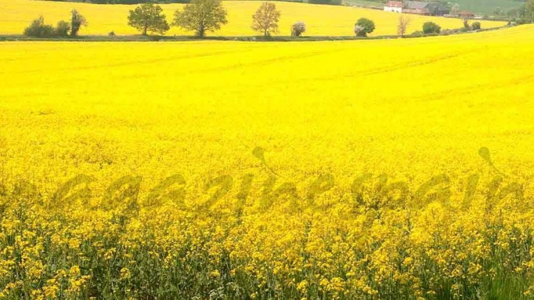 ¡3 looks para S. Santa!