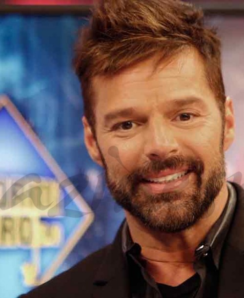 Ricky Martin: «Mis hijos están muy contentos de tener dos papás»