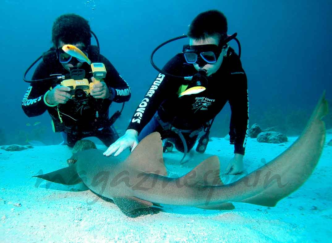 Buceo Tiburones - Bahamas © Christian Dimitrius/ Bahamas Ministry of Tourism