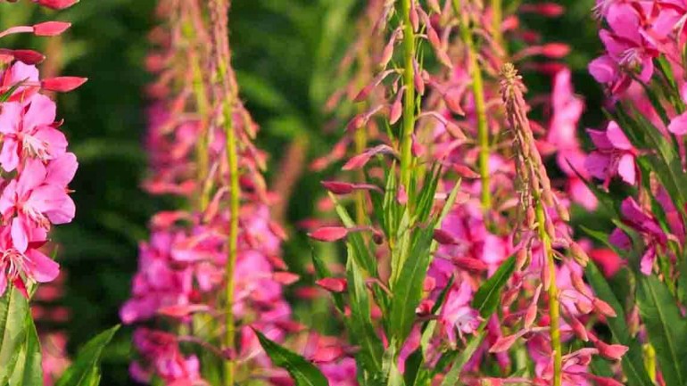 ¿Cómo sobrevivir al entretiempo?