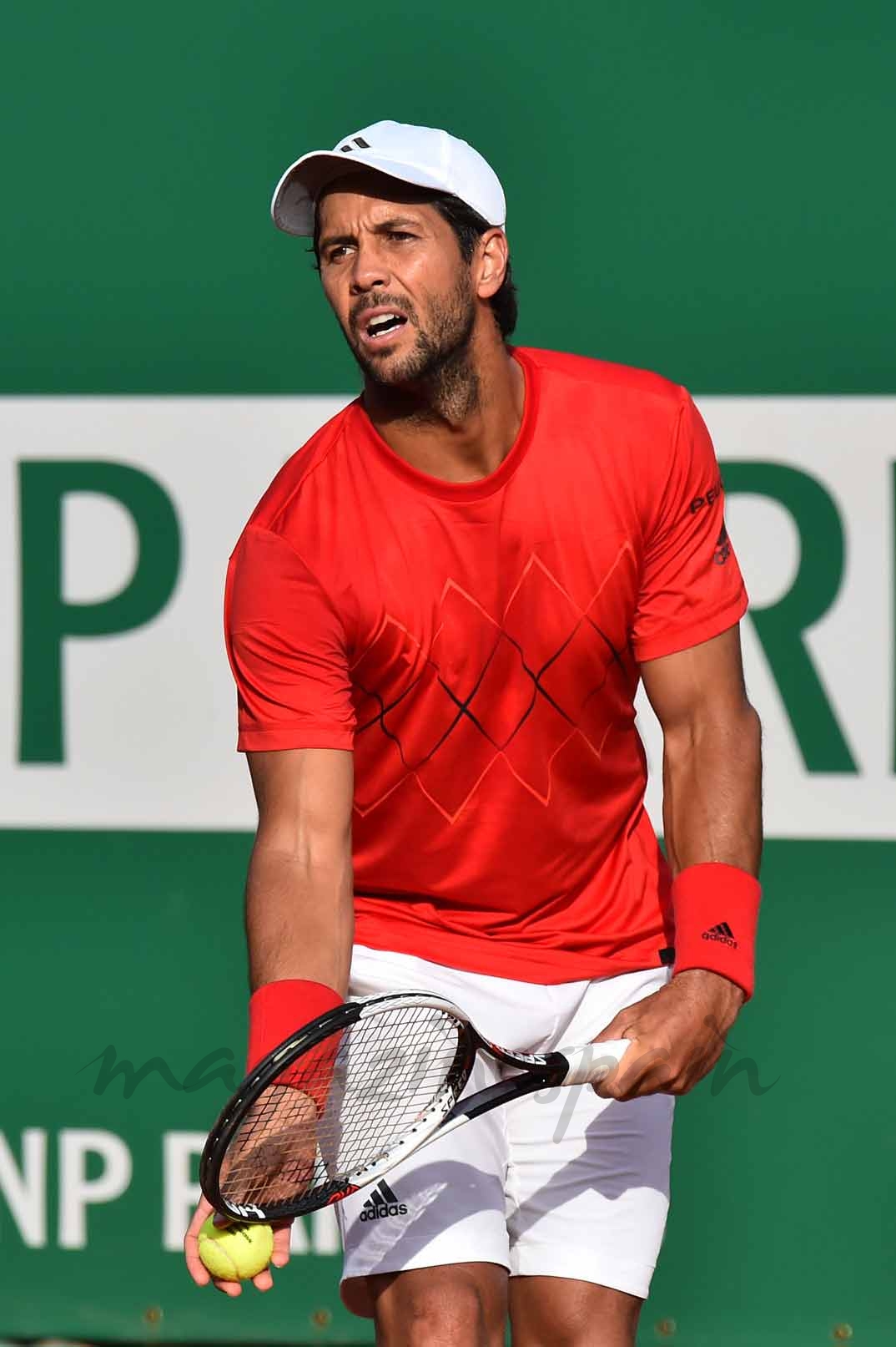 Fernando Verdasco