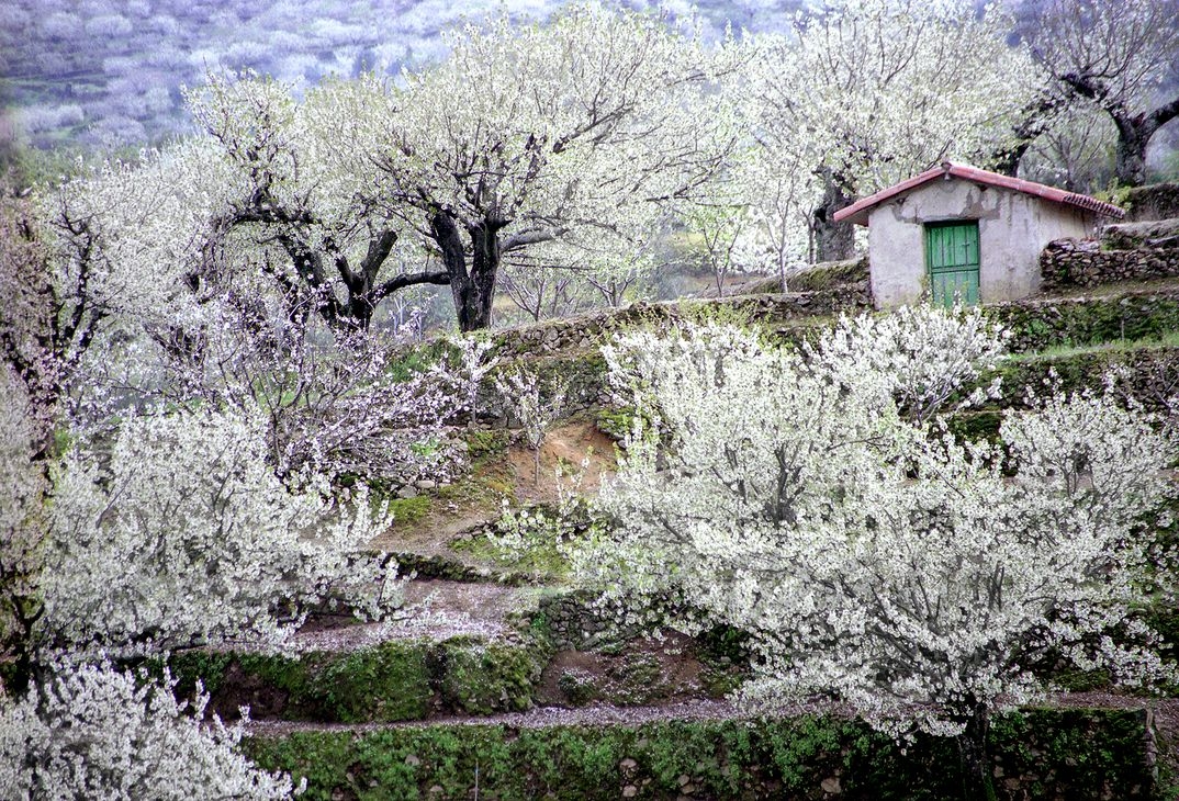 Garganta de los Infiernos - Valle del Jerte