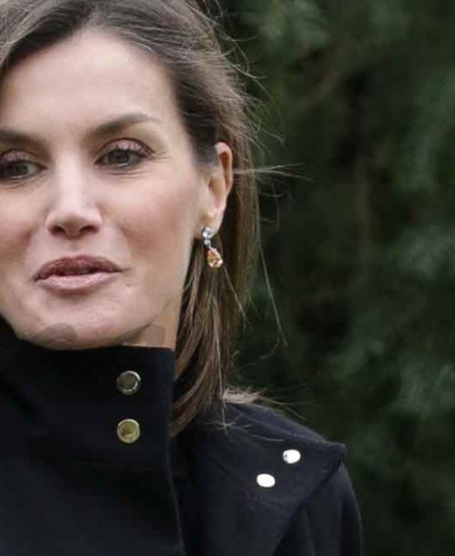 La reina Letizia reaparece con un look animal print