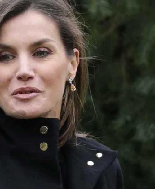 La reina Letizia reaparece con un look animal print