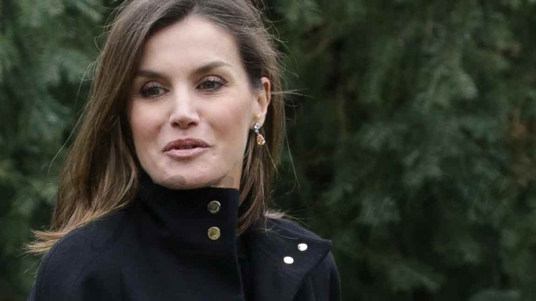 La reina Letizia reaparece con un look animal print