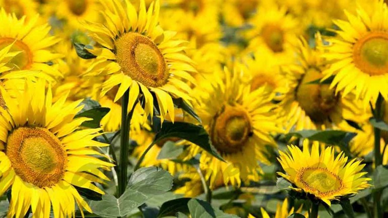 3 looks para ir a trabajar en primavera