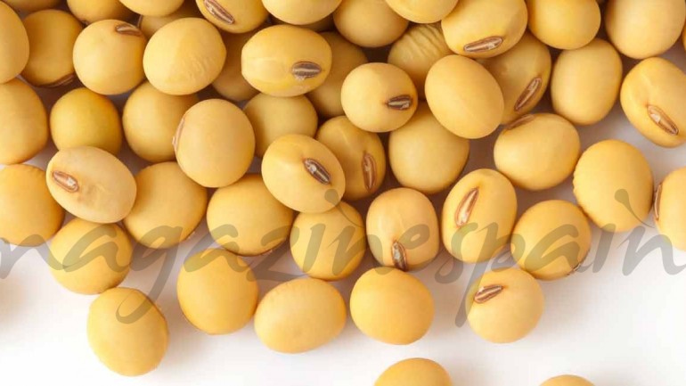 Los beneficios de la soja para tu piel