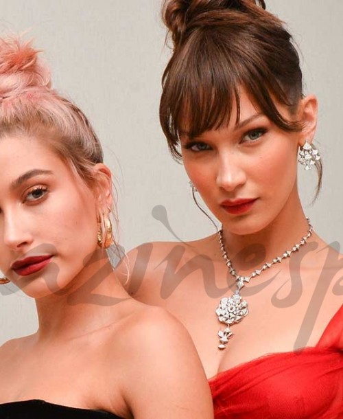 Bella Hadid y Hailey Baldwin, protagonistas de la fiesta Dior en Cannes