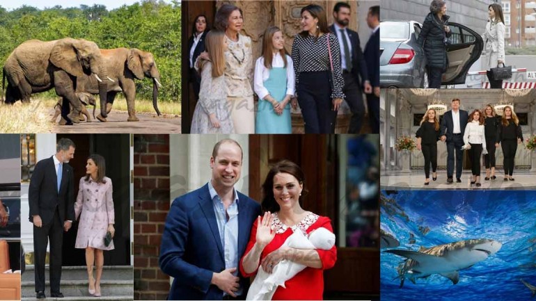 Las mejores fotos abril 2018