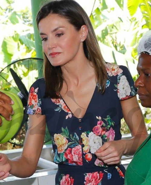 El look primaveral de la reina Letizia que ya está agotado