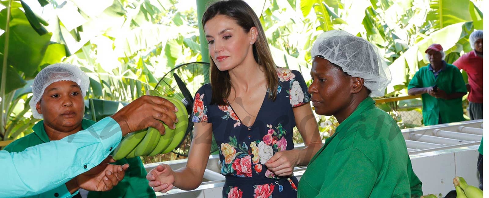 El look primaveral de la reina Letizia que ya está agotado