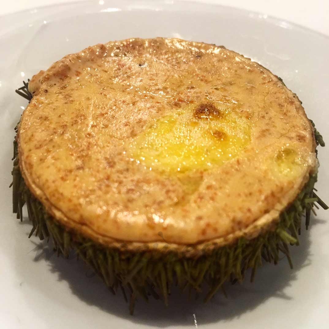 erizo-de-mar-gratinado-al-cava