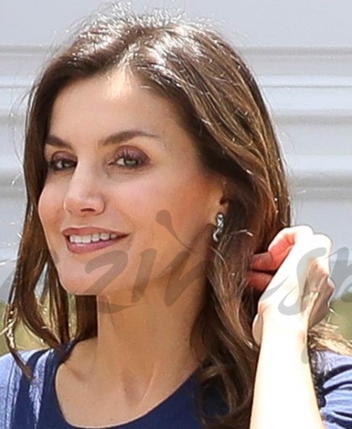 La reina Letizia tiene la falda perfecta para la primavera