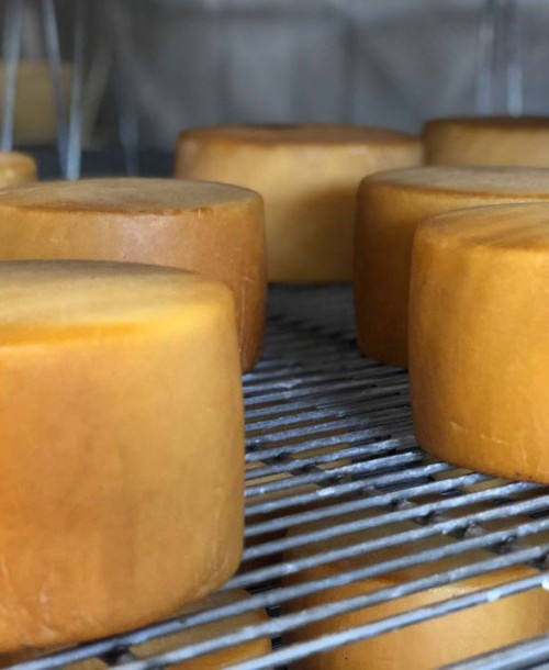 La realidad sobre el Queso Idiazábal, declarado patrimonio gastronómico europeo