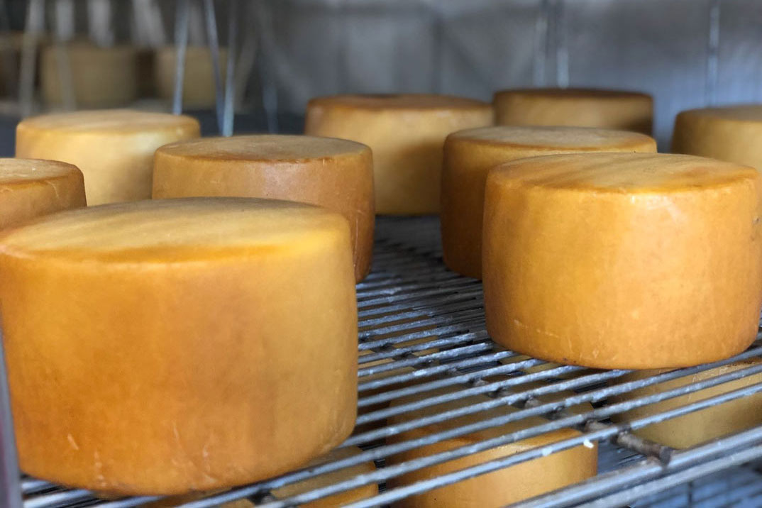 La realidad sobre el Queso Idiazábal, declarado patrimonio gastronómico europeo