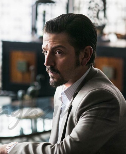 ¿Quiénes serán los protagonistas de la segunda temporada de «Narcos: México»?