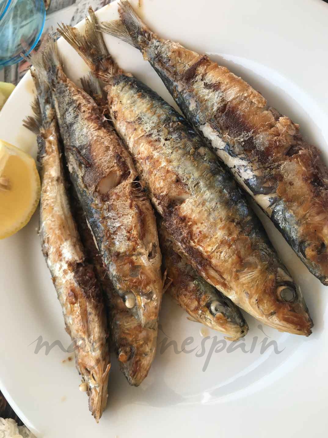 sardinas