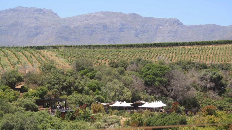 Sudáfrica: Stellenbosch y la Ruta de los viñedos