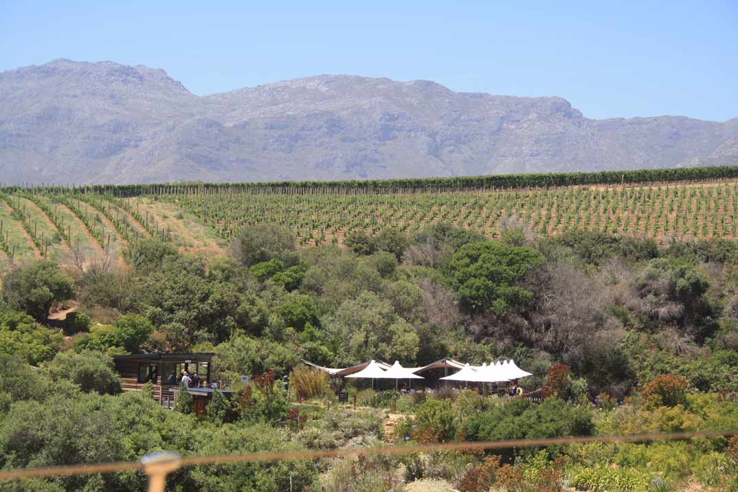 Sudáfrica: Stellenbosch y la Ruta de los viñedos