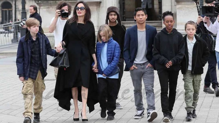 Angelina Jolie y Brad Pitt ¿acuerdo a la vista?